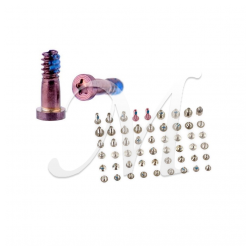 Kit set viti completo Apple iPhone 7 rosa (rose gold) Kit set viti completo Apple iPhone 7 rosa (rose gold)