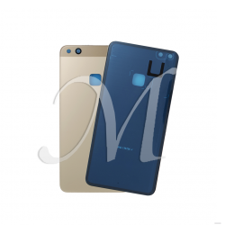 VETRO POSTERIORE SCOCCA Huawei P10 Lite BACK COVER COPRI BATTERIA Oro Gold VETRO POSTERIORE SCOCCA Huawei P10 Lite BACK COVER COPRI BATTERIA Oro Gold